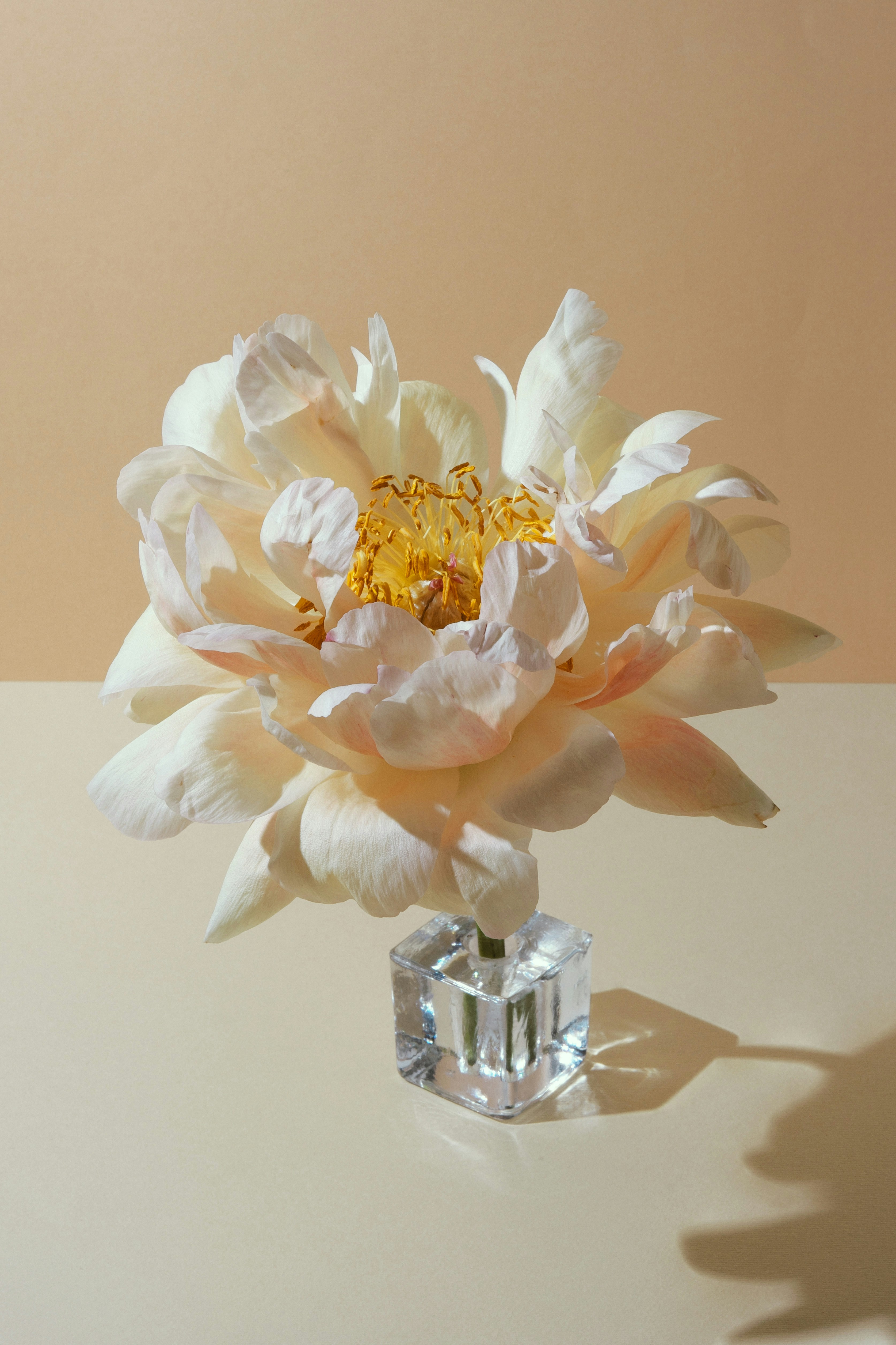 Image of flowers