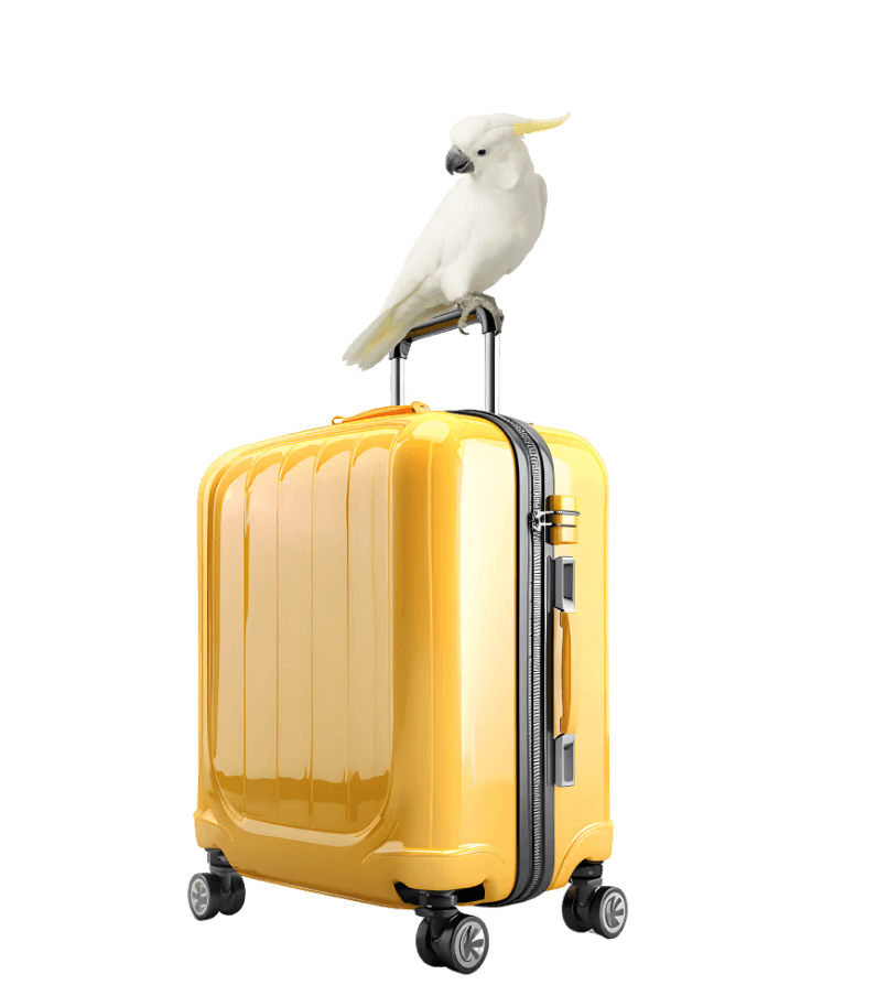 Vancouver storage for luggage