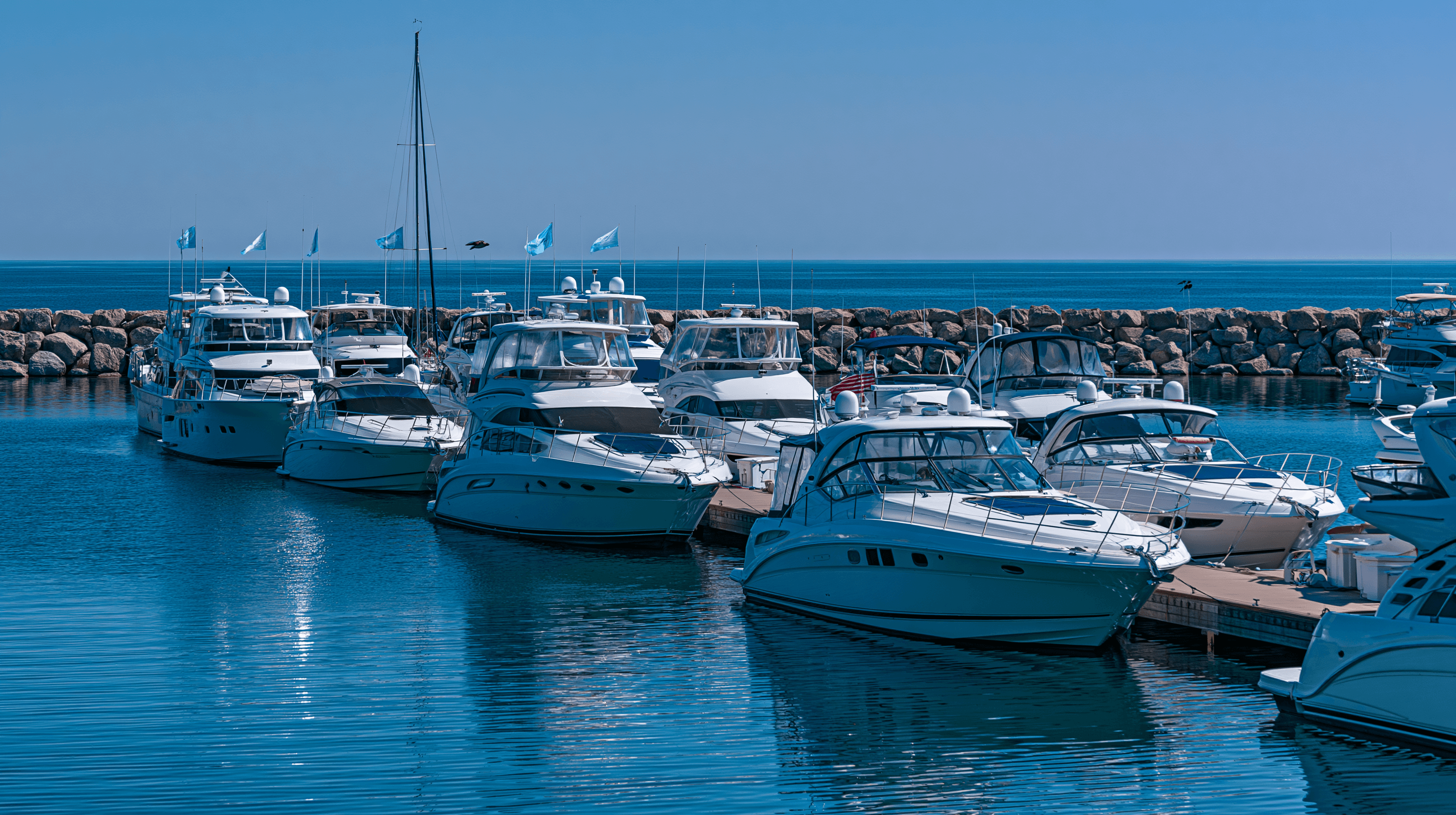 Boats in a municipal harbor