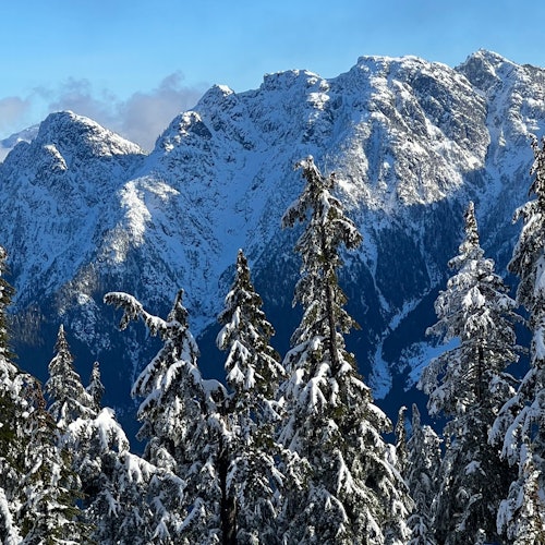 邻近当地山脉的景观。