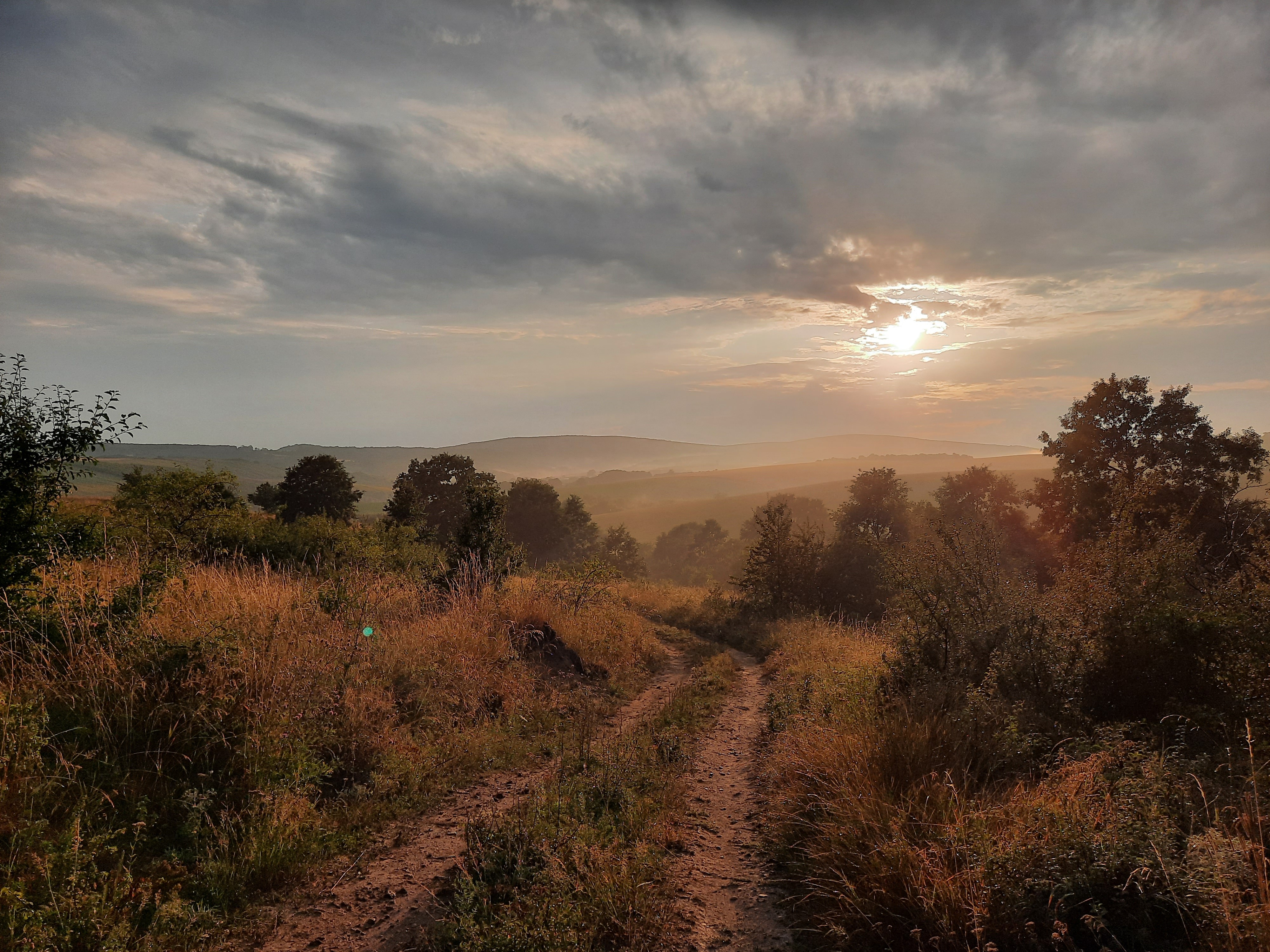 landscape photography of field