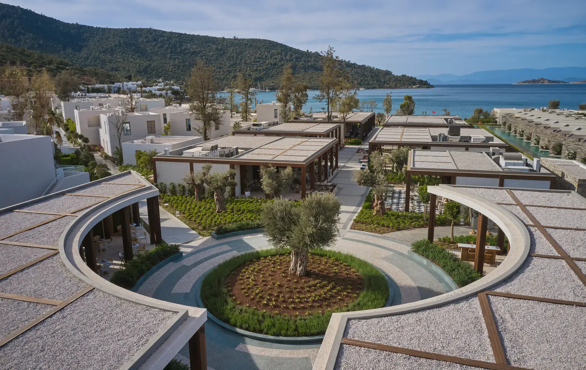 Circular courtyard with an olive tree at its centre and the sea behind