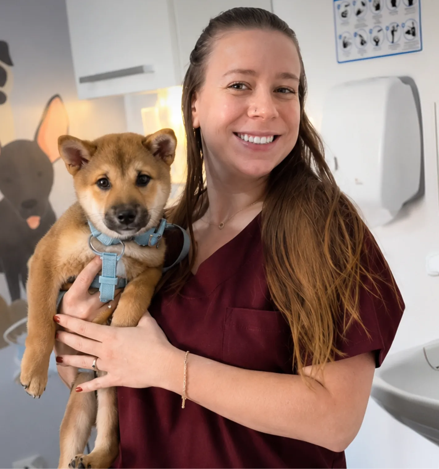 Hero Image Veterinarias