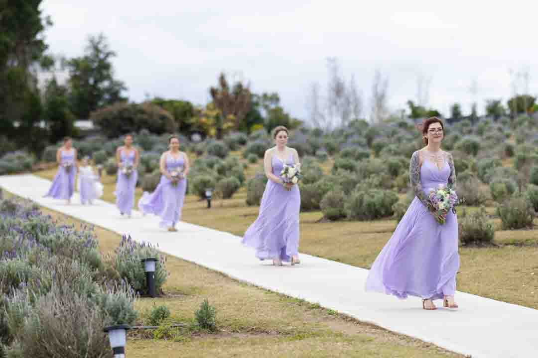 Bridesmaids in purple dresses walking down isle amongst lavender field