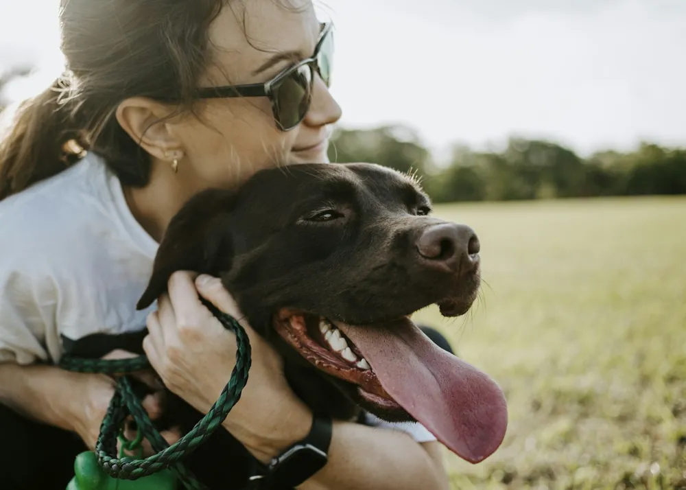 Une personne partage un moment calme avec son chien dehors