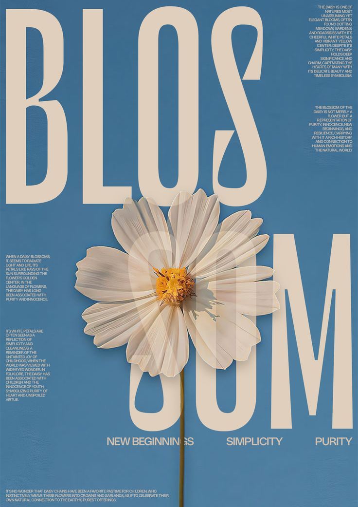 A single white daisy with a yellow center is positioned against a blue background. Behind it, bold text reads "BLOSSOM" with words "New Beginnings," "Simplicity," and "Purity" below. The design conveys freshness and hope.