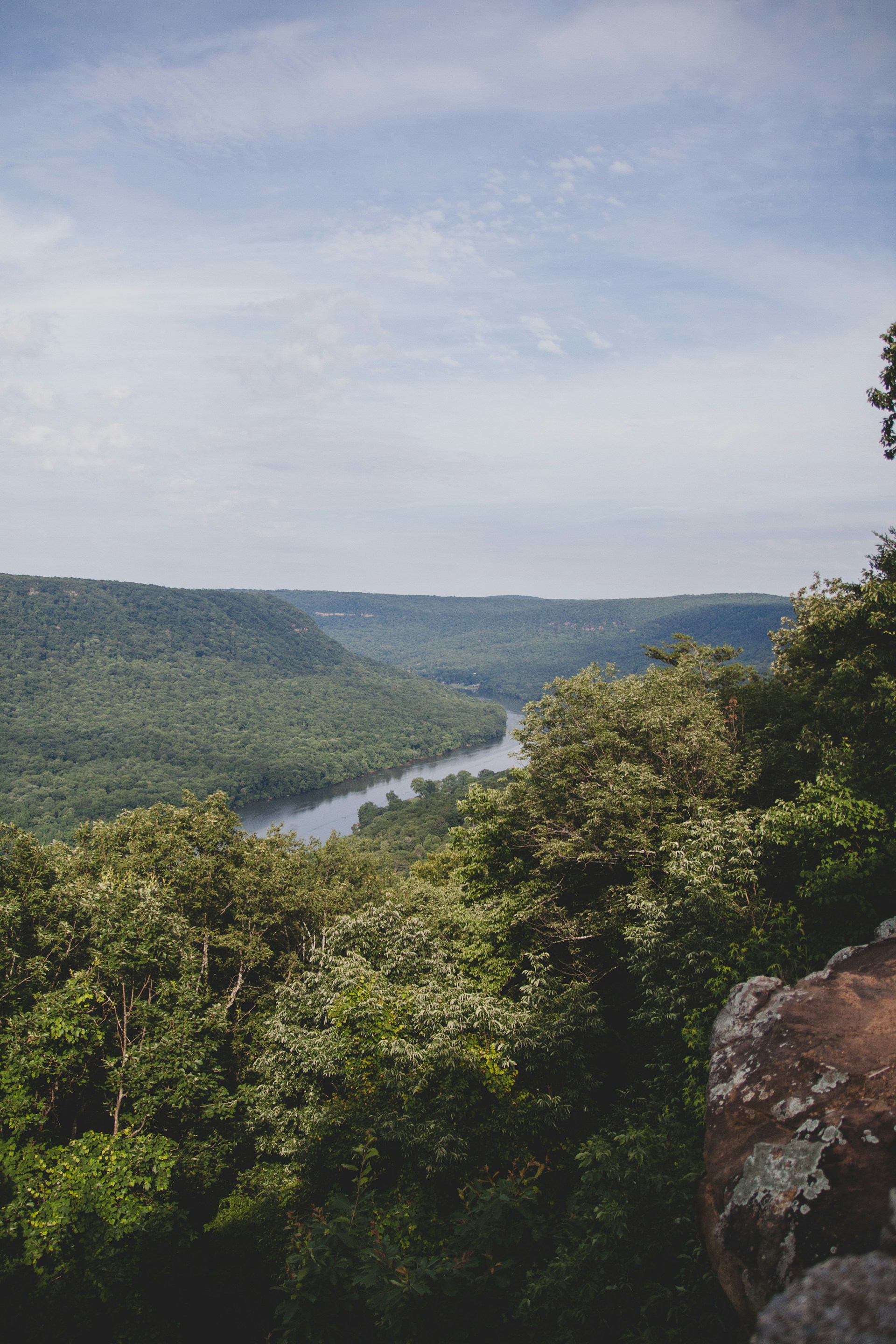 Photo by <a href="https://unsplash.com/@zeketucker?utm_content=creditCopyText&utm_medium=referral&utm_source=unsplash">Zeke Tucker</a> on <a href="https://unsplash.com/photos/green-tree-lot-near-river-during-daytime-Qnn9IEgjloI?utm_content=creditCopyText&utm_medium=referral&utm_source=unsplash">Unsplash</a>       