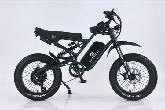 ghost cat fx4 x army green ebike