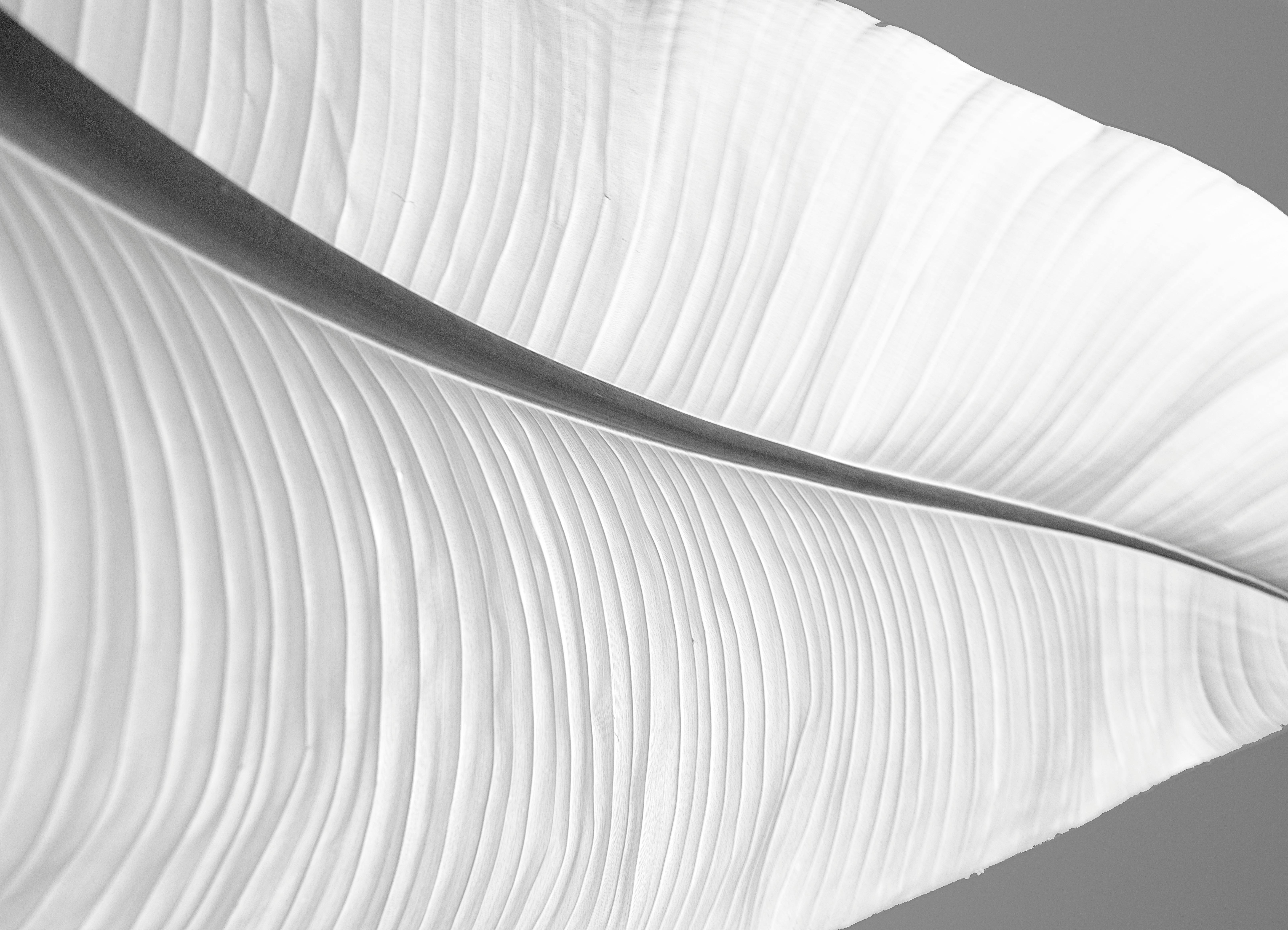 Conception sobre et minimaliste. L'essentiel est notre expertise, maîtrise de la perfection, conception parfaite.