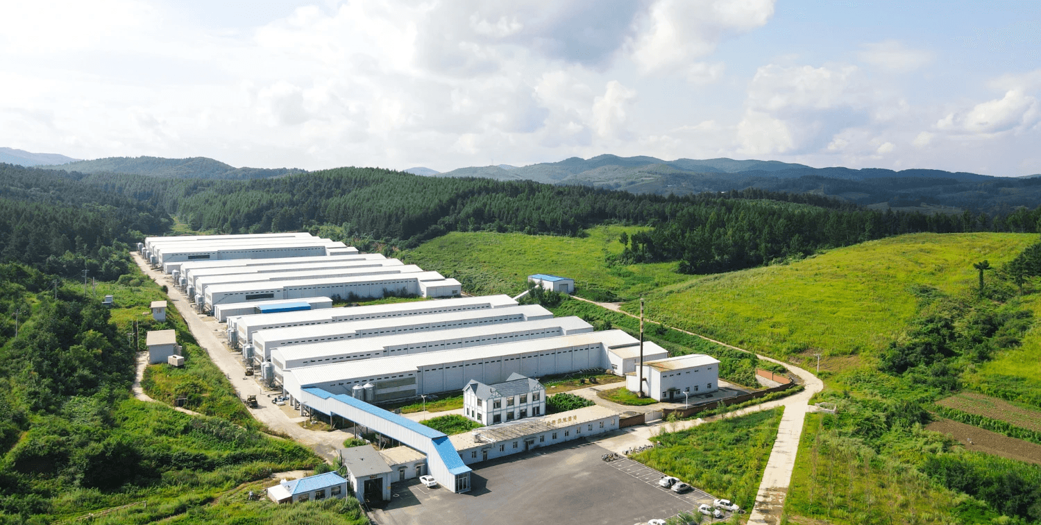 Automated egg-laying hen farm