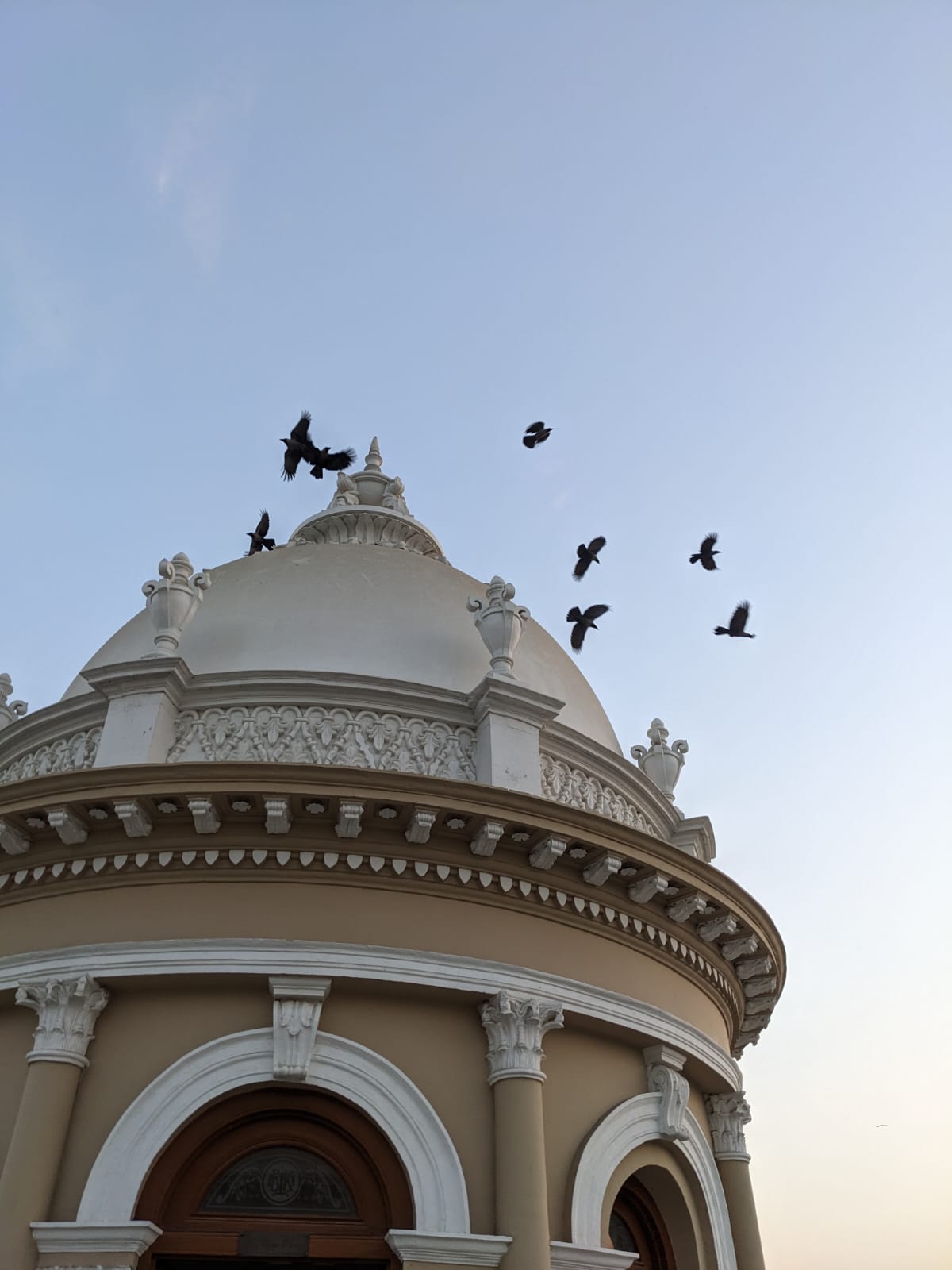 Urban Street Fashion Portrait