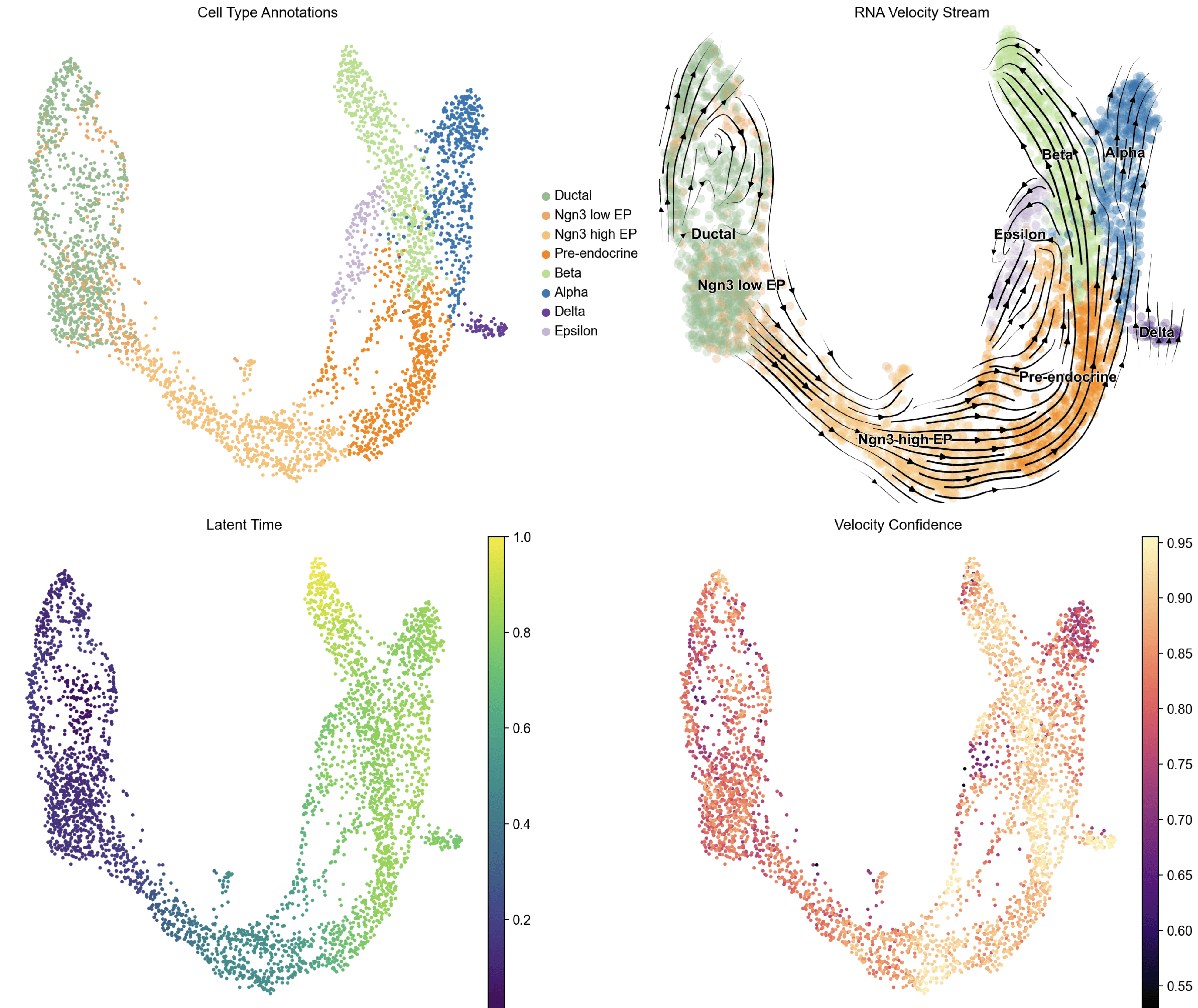CellRank analysis of pancreatic endocrinogenesis single cell RNA sequencing result