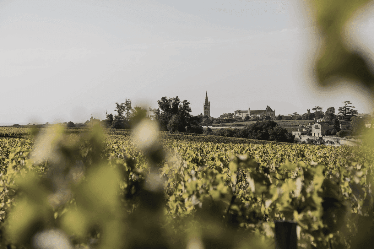 Vineyards stretching across the landscape with a distant church spire in Bordeaux.