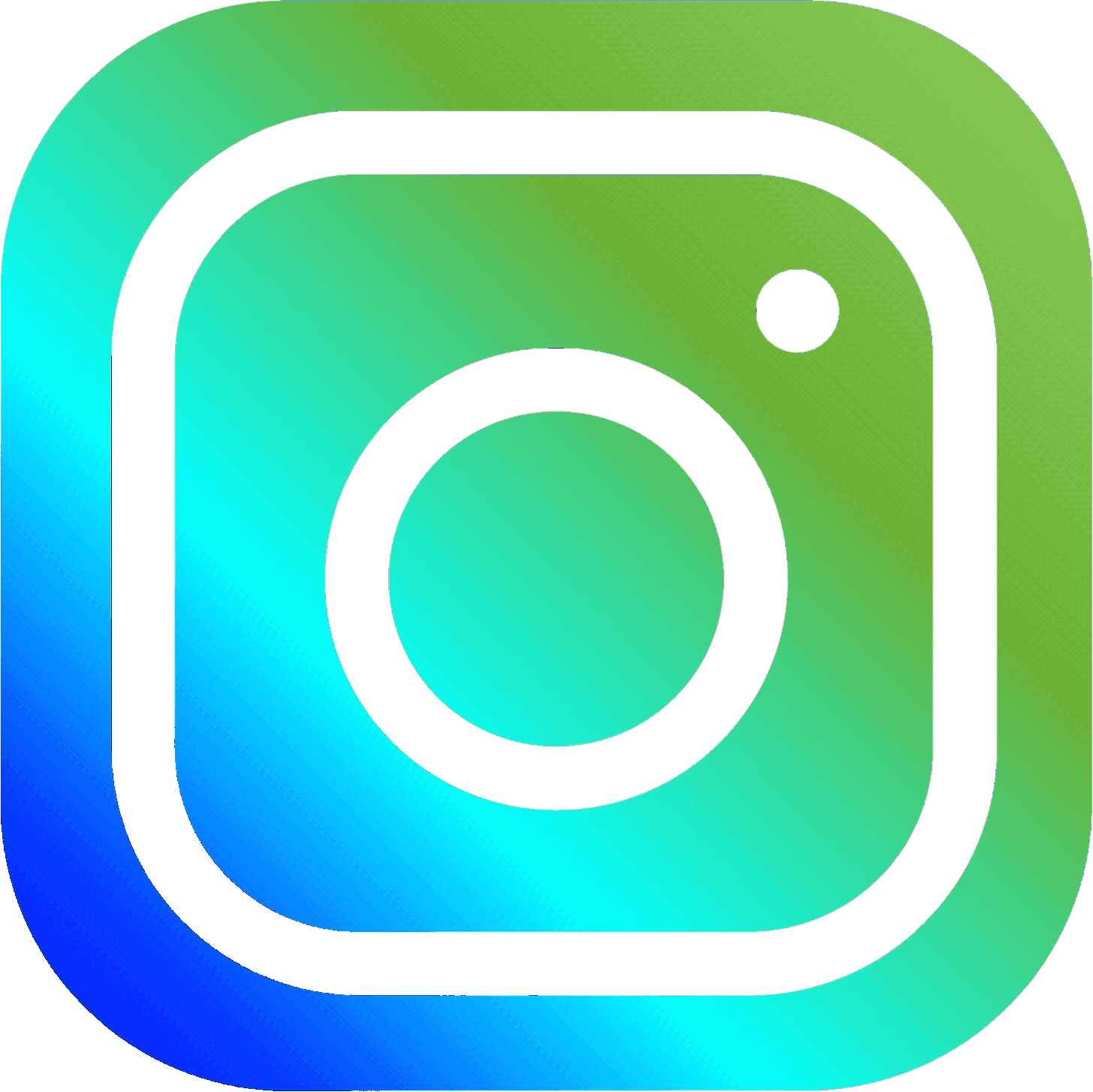 Instagram button