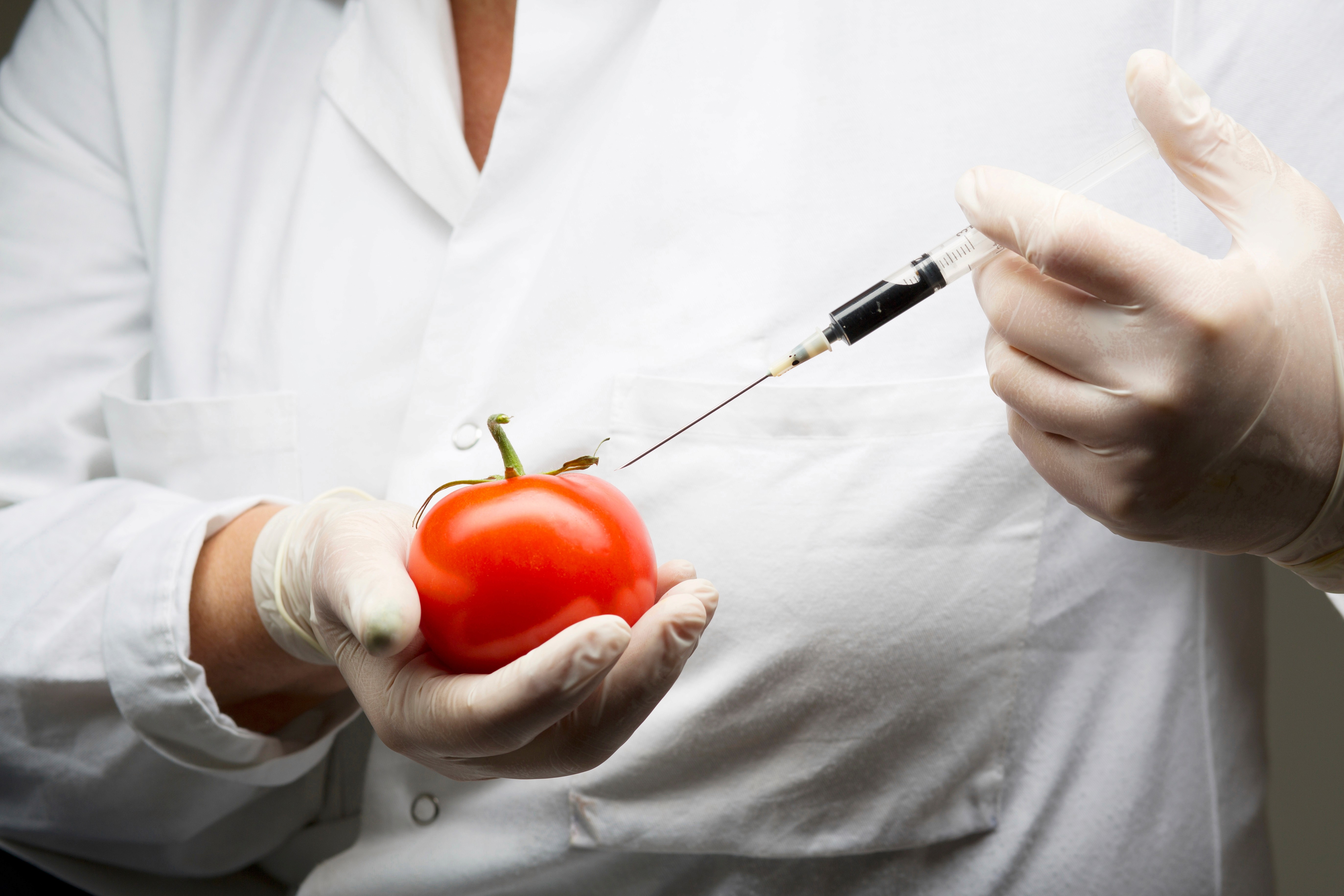 white and gray stone fragments