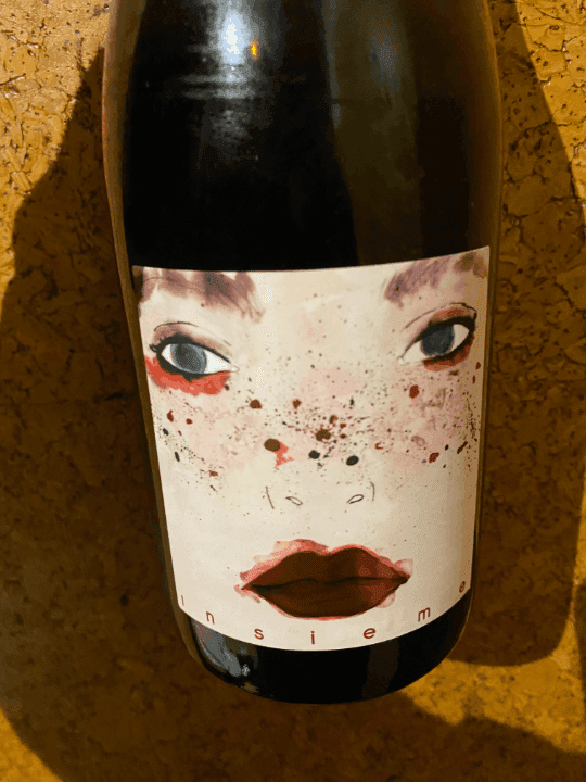 Review of wine Pazo das Bruxas Albariño 2024 from Familia Torres (Rías Baixas, Spain)