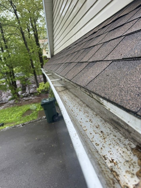 Pressure washing transformation photo