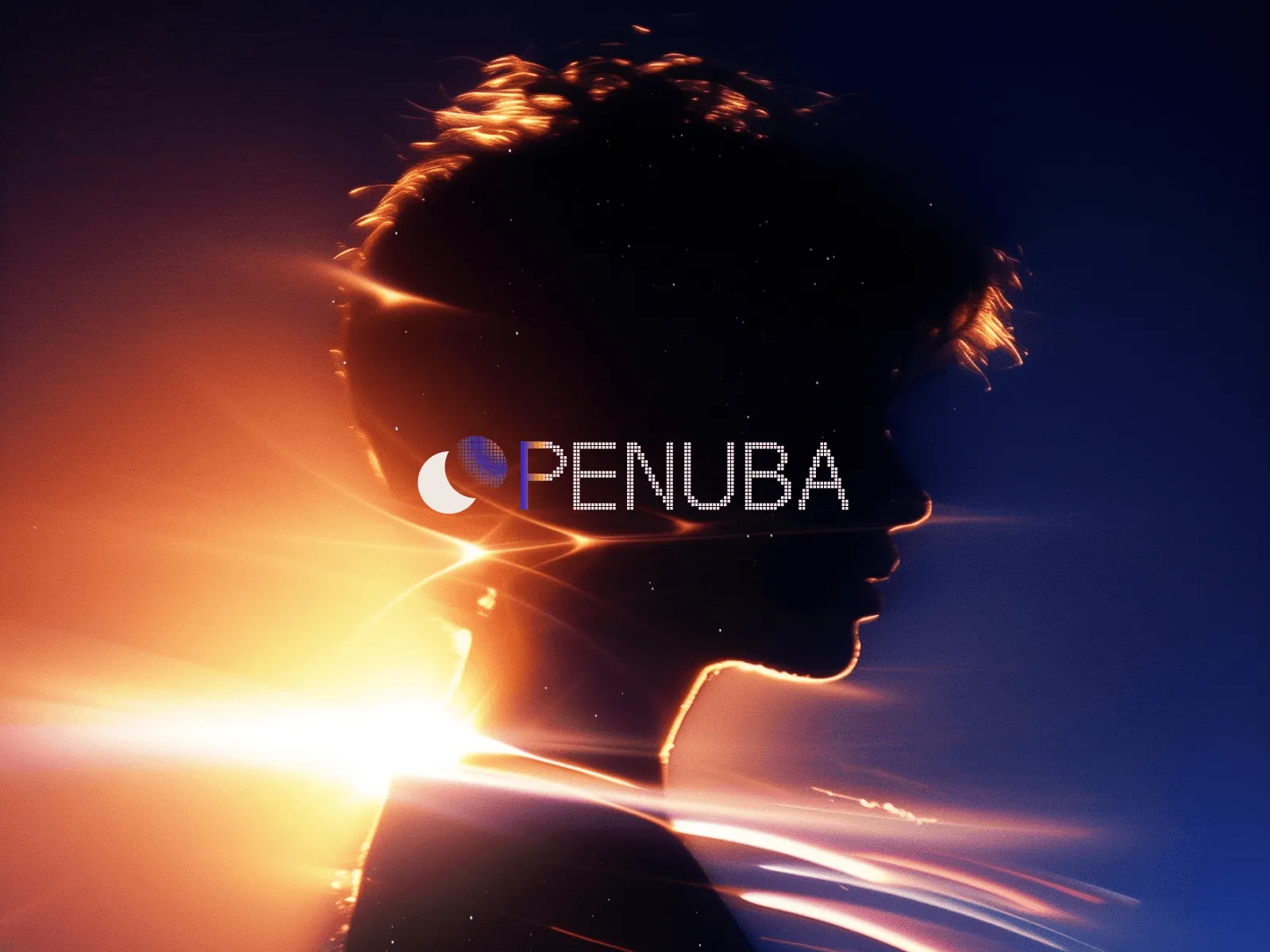 Silhouette of a person against a vibrant sunset background, creating an artistic and dreamy atmosphere.