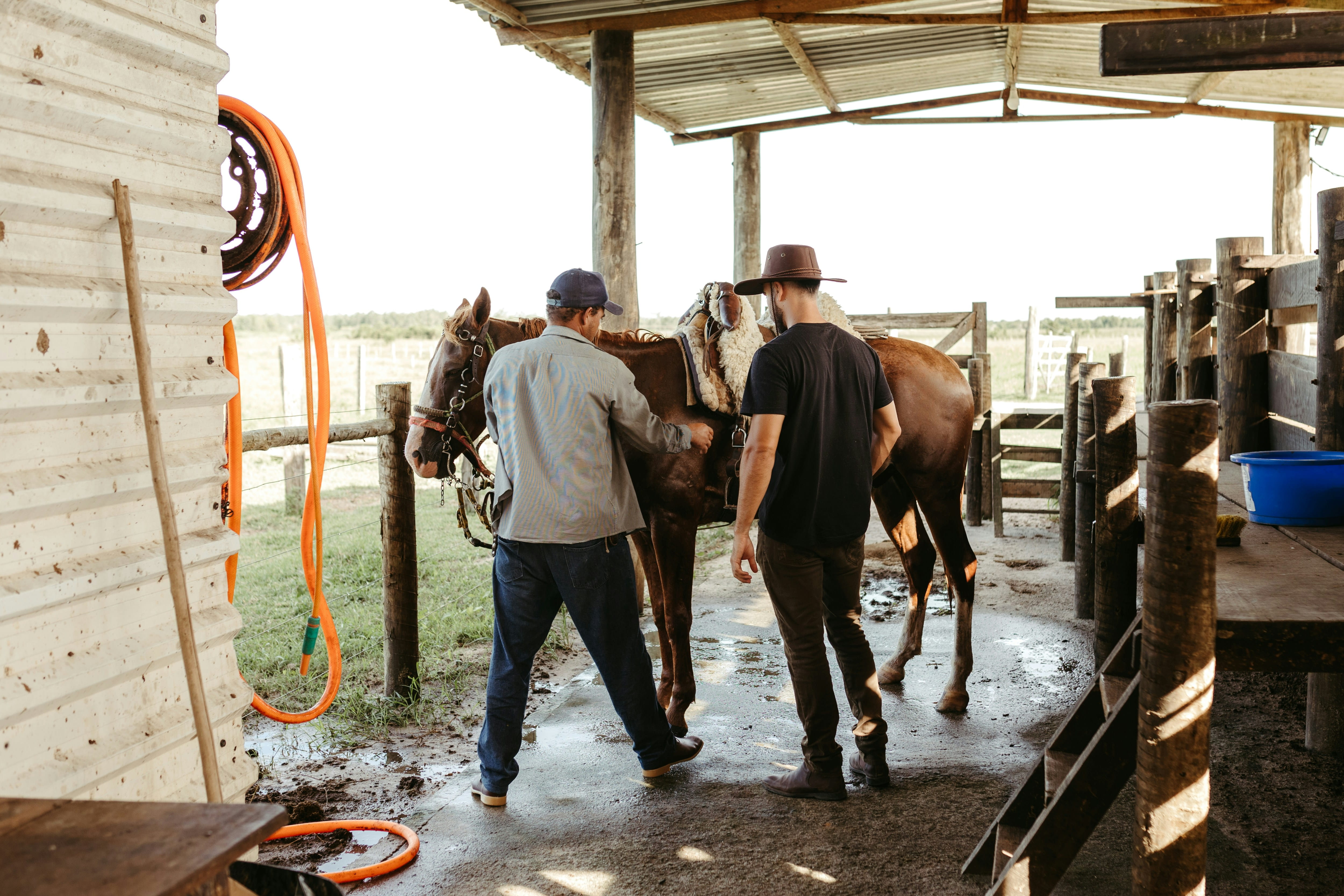 Stable Grazer resource thumbnail