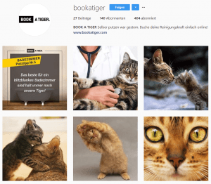 Cat Content kann im Instagram Marketing helfen