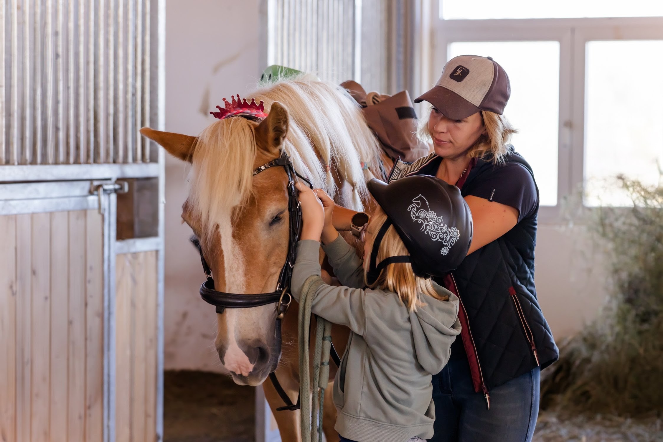 Close-up of lush, dark green leaves, some glossy and wet, against a muted background.