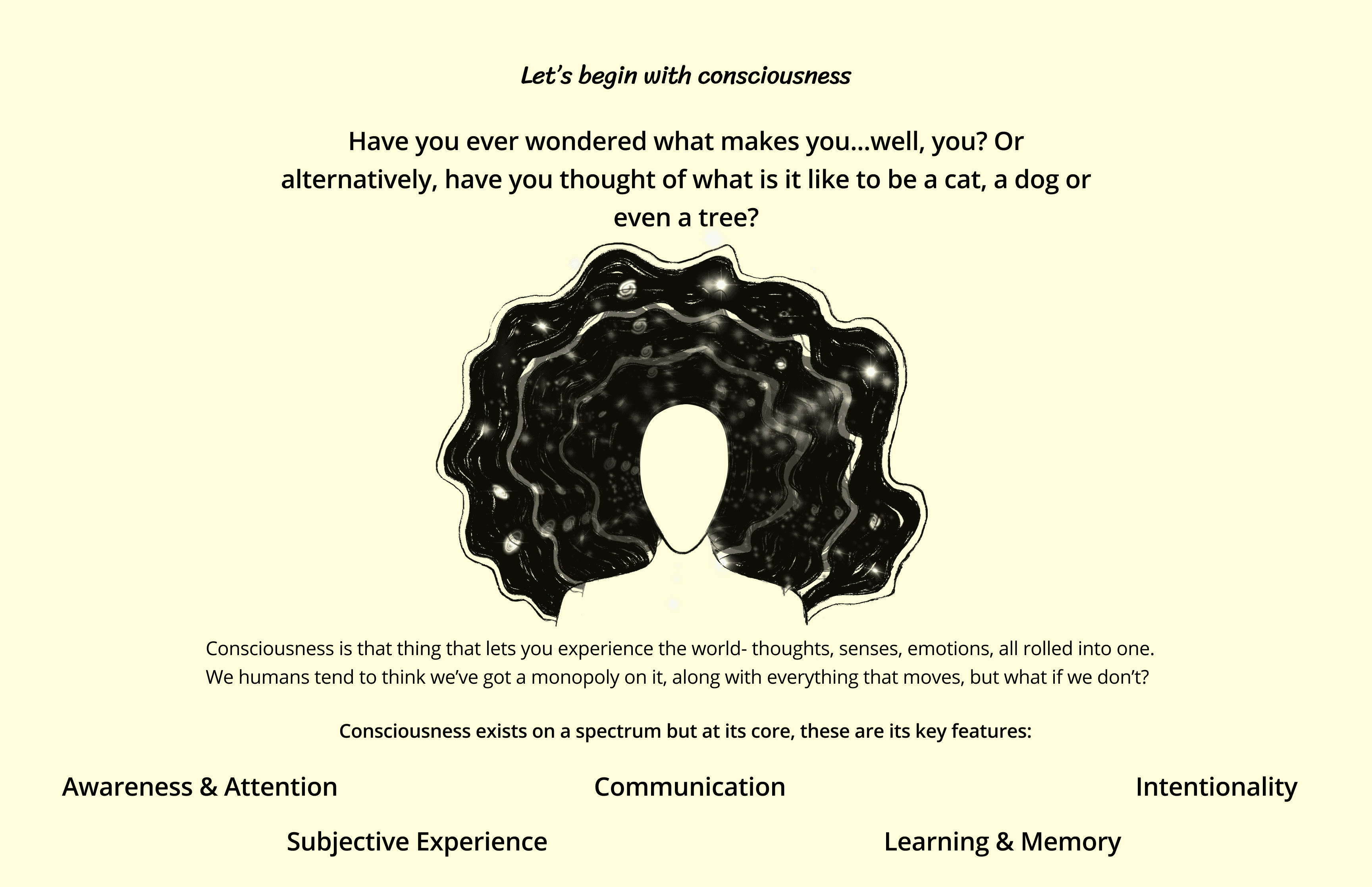 A mockup for an app screen