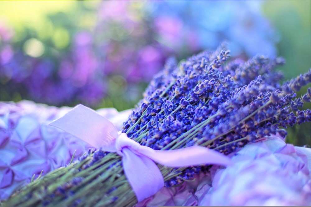 A bouqet of lavender wrapped with a bow