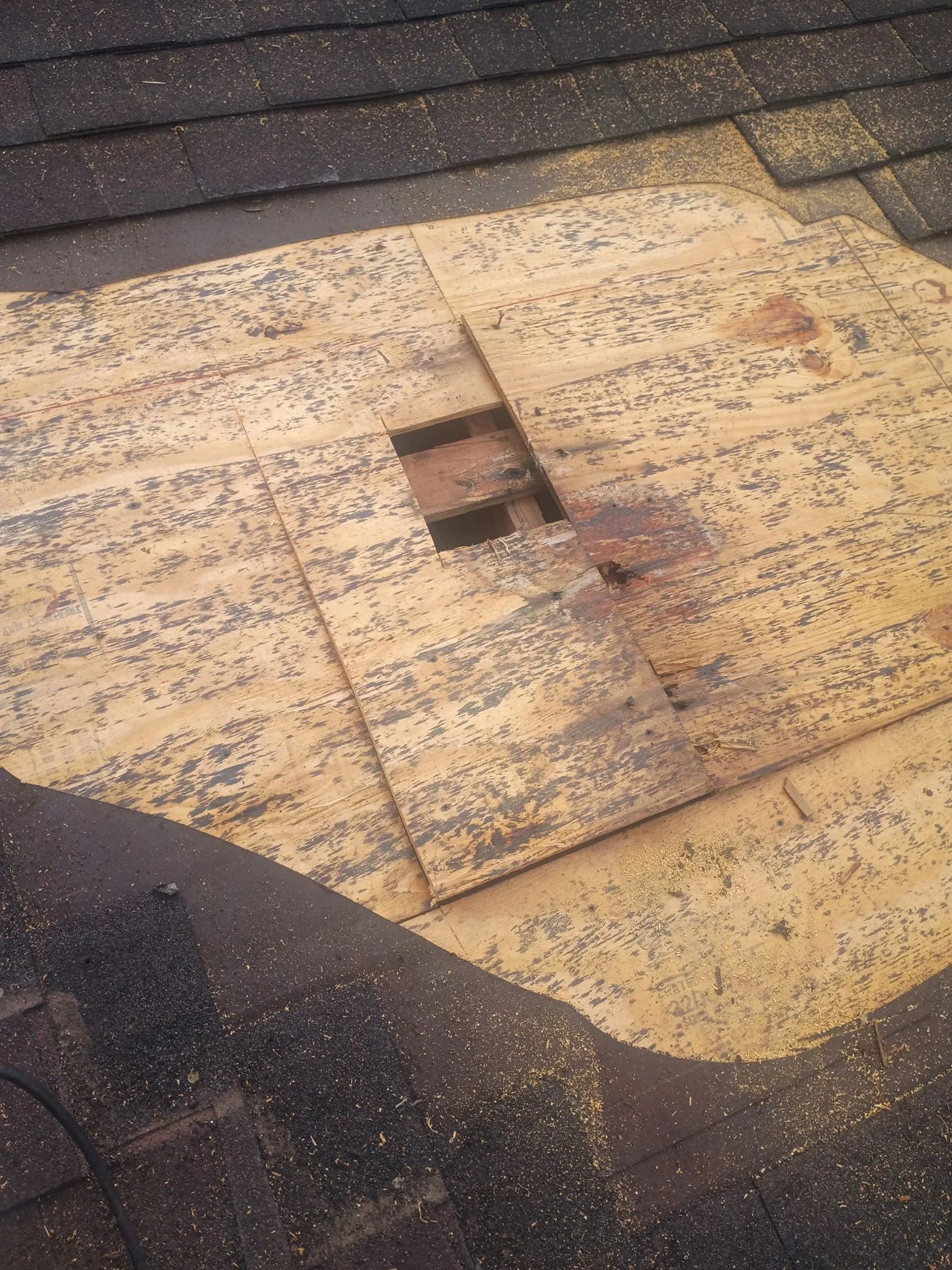 Damage exposed: rotten decking and shingle repair in San Antonio, Texas.
