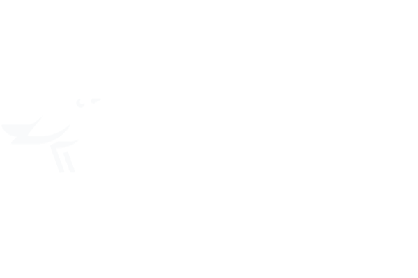 NectarGo, le local chez Auchan