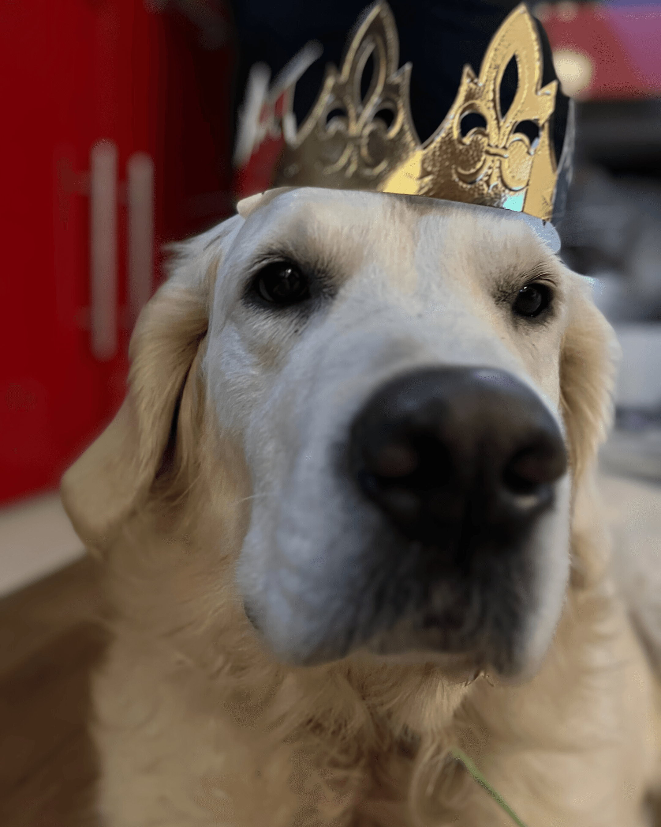 Una&Co Photo Garde à Domicile