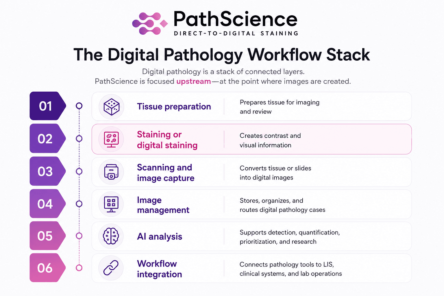 Digital pathology workflow stack showing tissue preparation, staining or digital staining, scanning and image capture, image management, AI analysis, and workflow integration, with PathScience focused upstream.