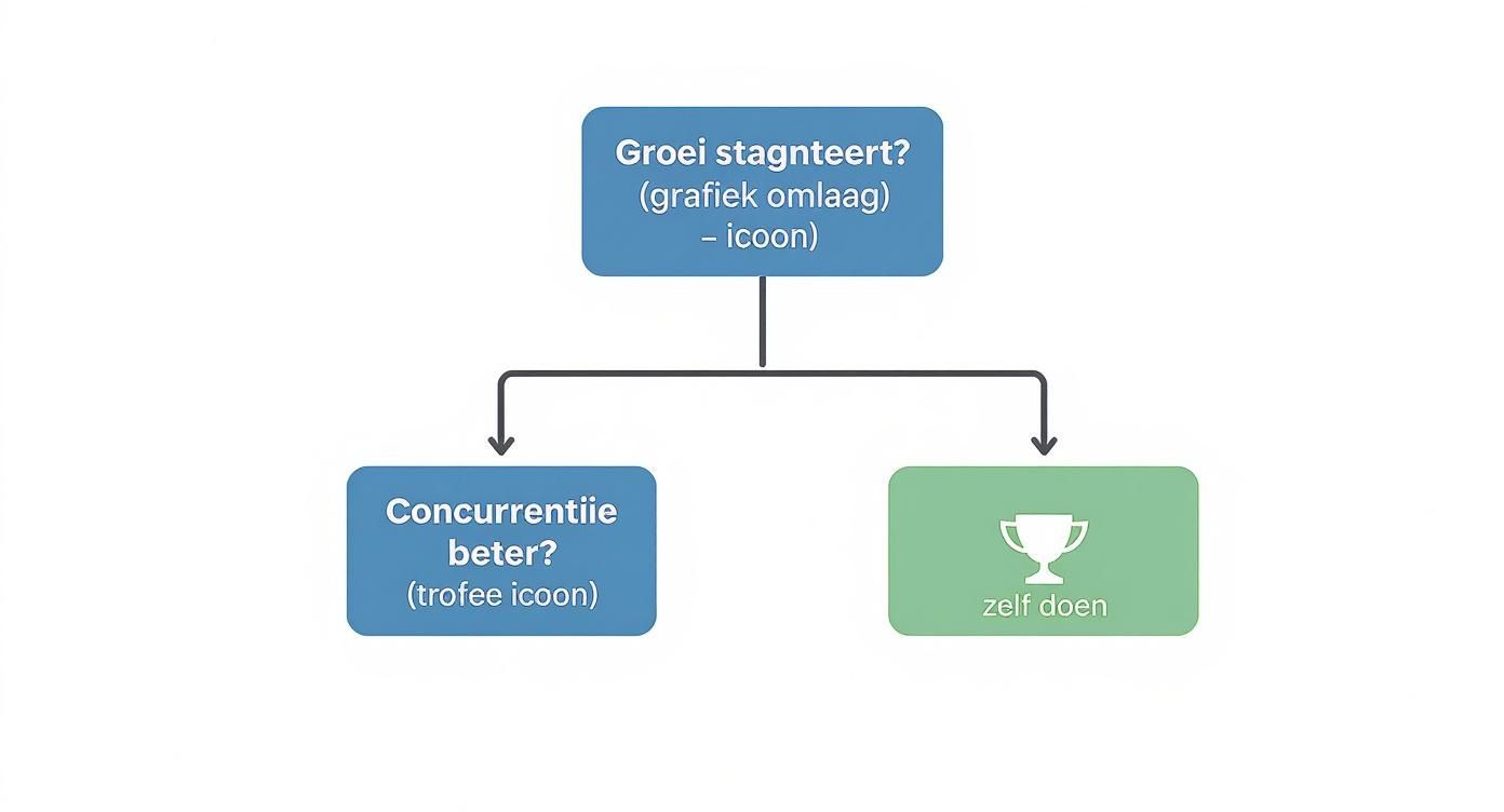 Een flowchart die beslissingen toont over stagnerende groei: ofwel concurrentie is beter, of je moet het zelf doen.