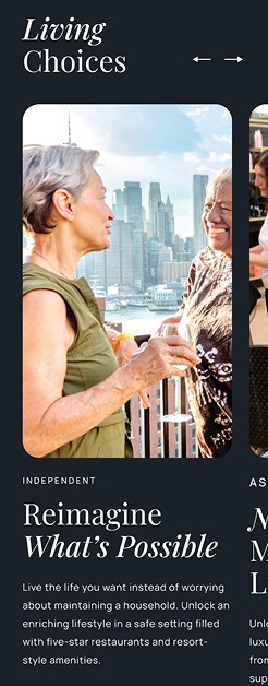 Mobil screenshot of DSL website