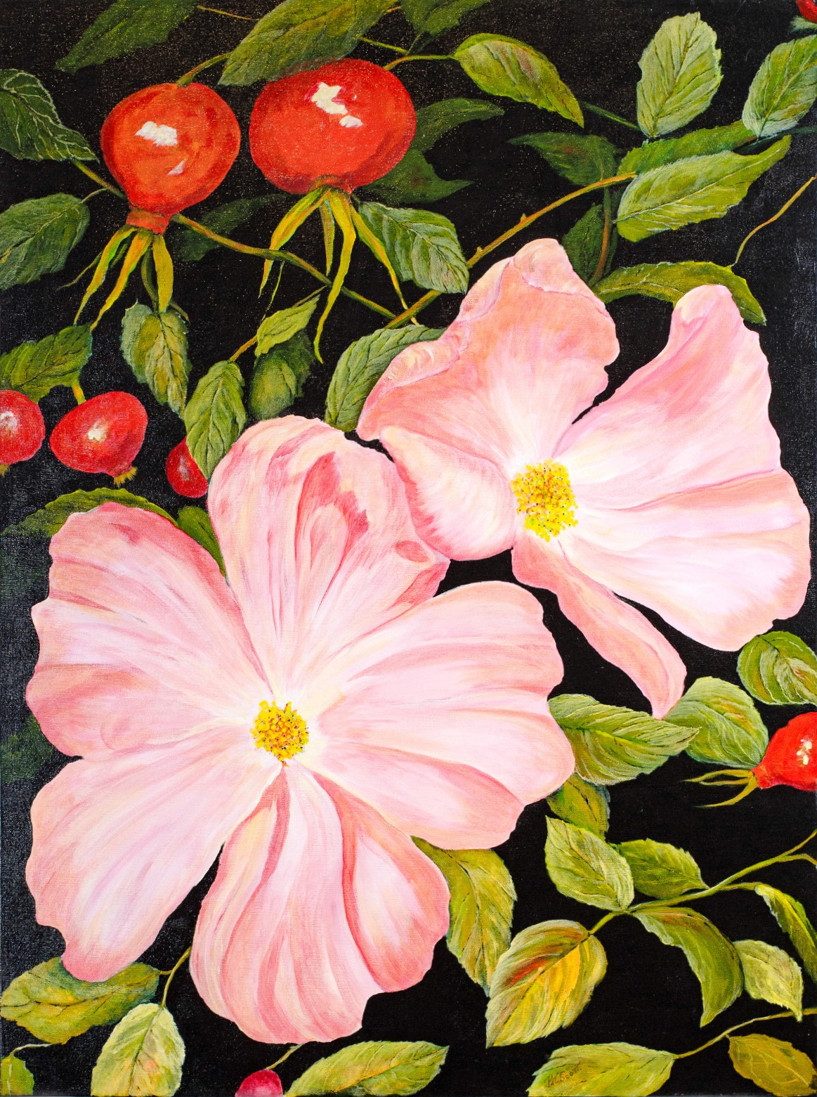 Two wild roses are complimented by abundant green leaves and red flower bulbs.