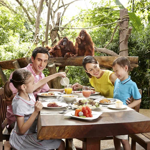 Rodzina czterech osób spożywająca posiłek na świeżym powietrzu, podczas gdy trzy orangutany siedzą na drewnianych belkach w bujnej, zielonej scenerii, obserwują ich.