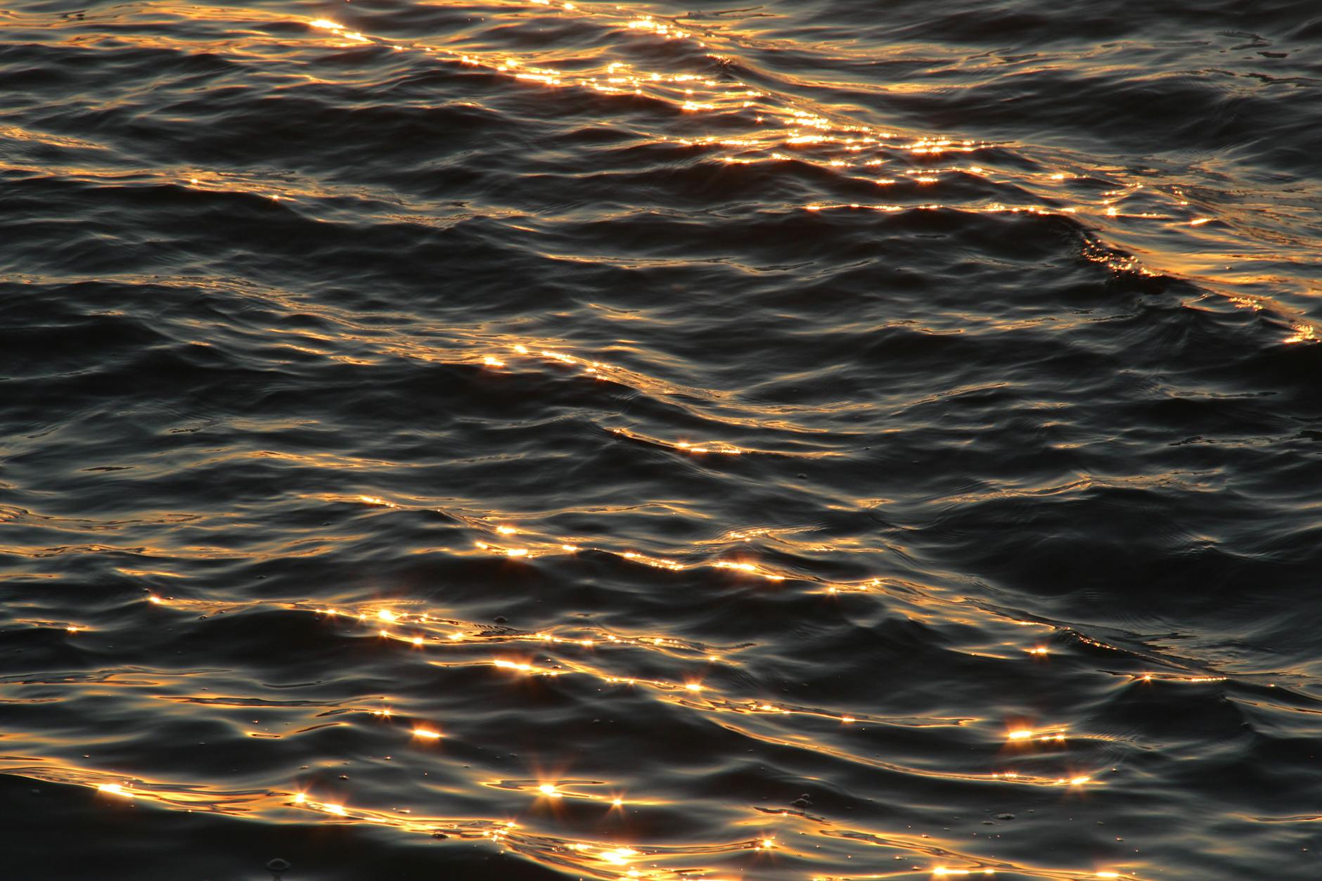 Human Design and Money: Understand Your Financial Patterns