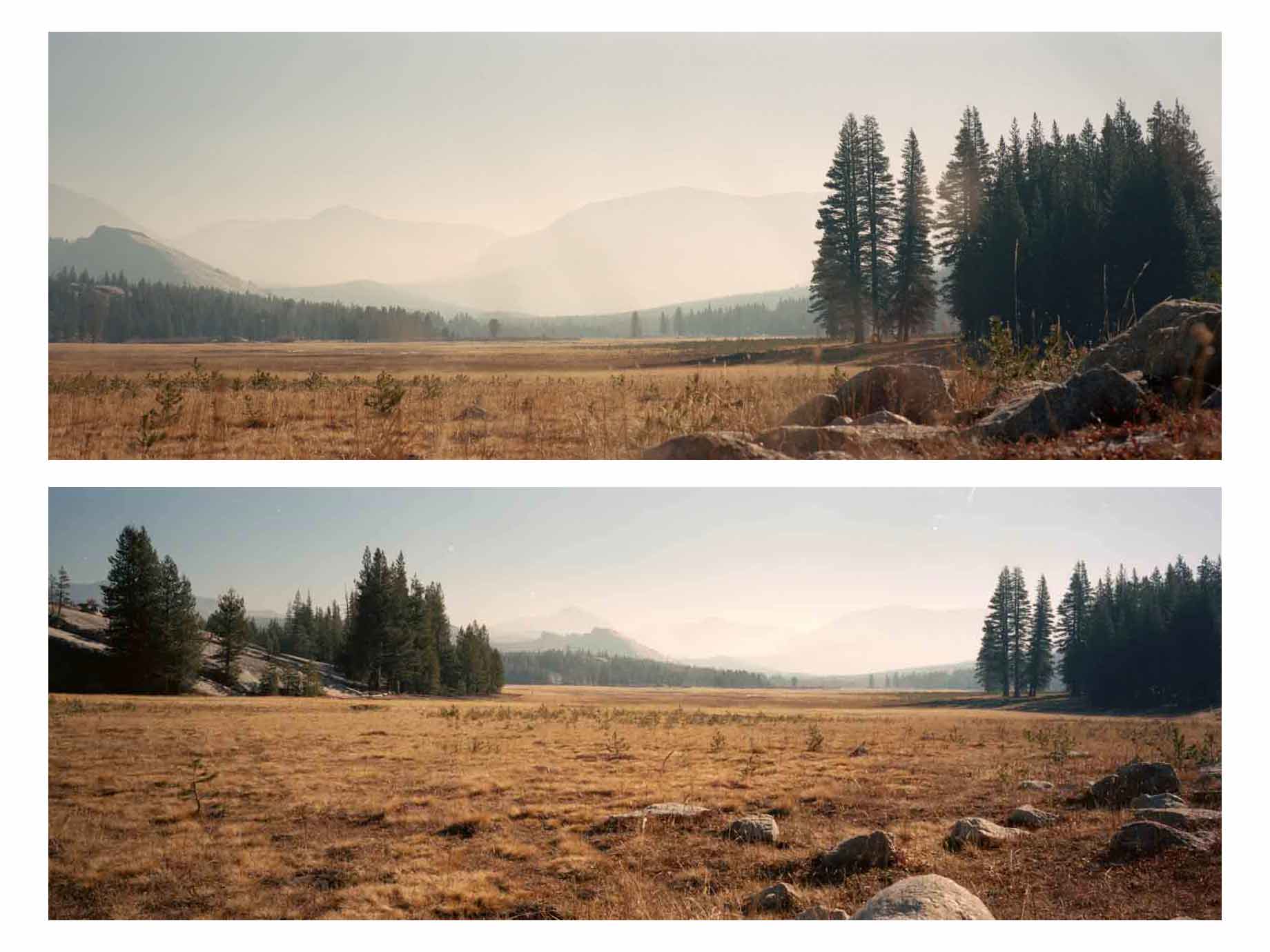Panoramic view of Yosemite Valley on a wide-format film, featuring golden yellow grass in the foreground and towering granite mountains in the background under a soft light. Trees line the right side of the frame. The image has the warm, analog colors of Kodak Portra film.