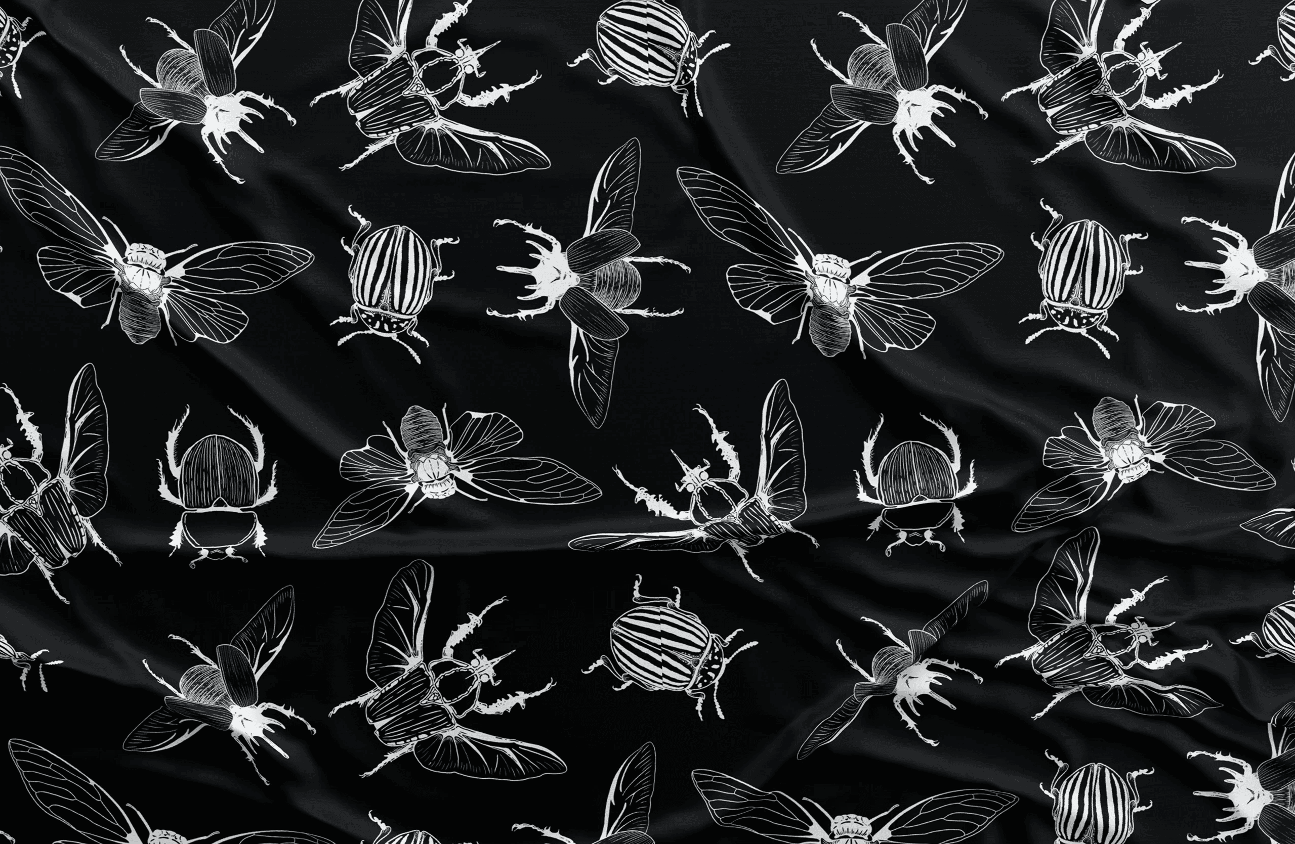 The image featured at the top of the about us page #1