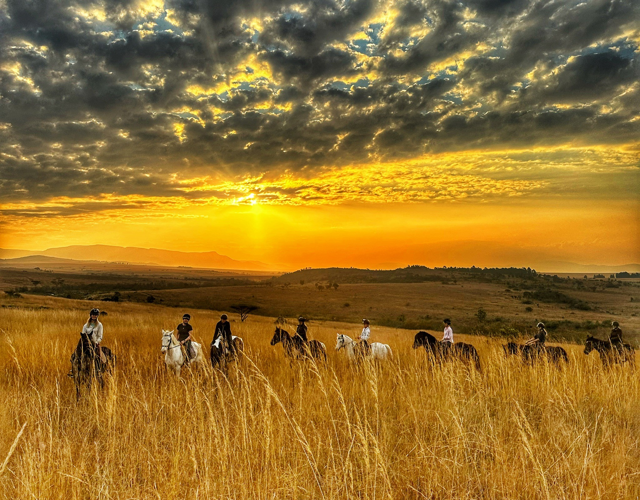 Kilimanjaro Elephant Ride, Arusha National Park, Tanzania – elefant i högt gräs tittar mot kameran, medan fem ryttare till häst på ridsafari i bakgrunden betraktar elefanten i ett grönt och frodigt landskap.