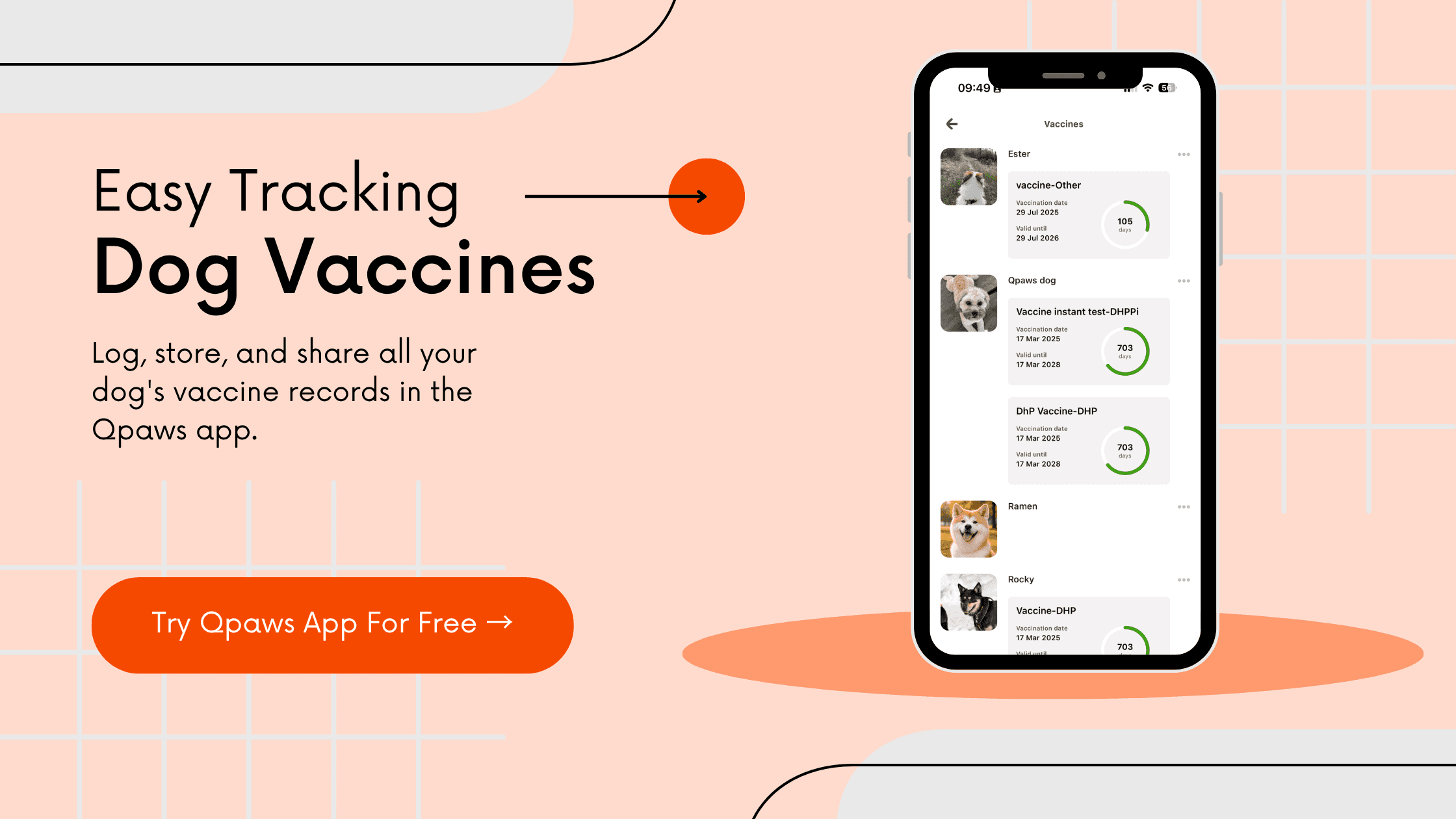 How to Store Dog Vaccine Records (and Share Them Instantly) | Qpaws