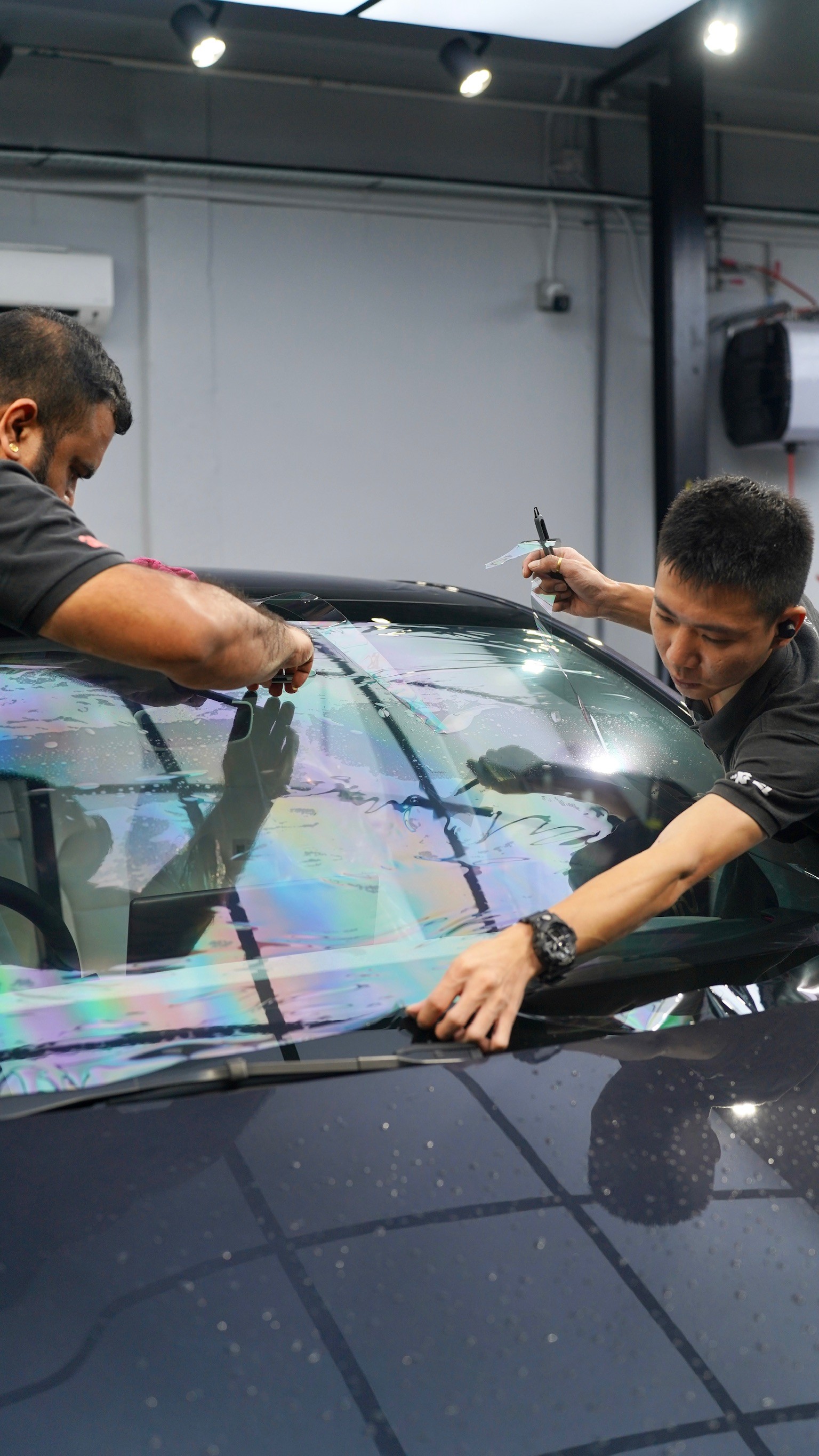 tesla model 3 tinting