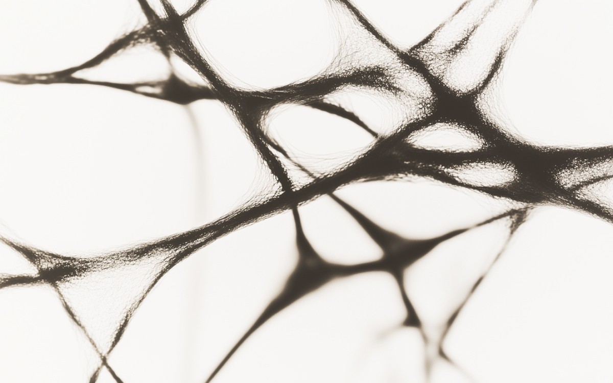 Abstract image of black, web-like interconnected lines against a white background, conveying a sense of complexity and fluidity.