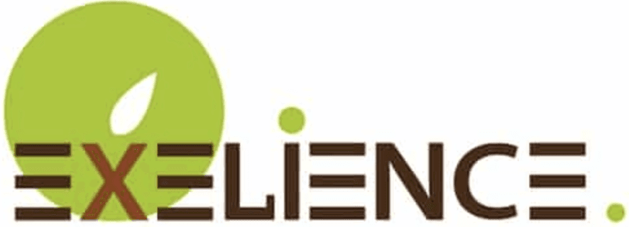 Logo Exelience