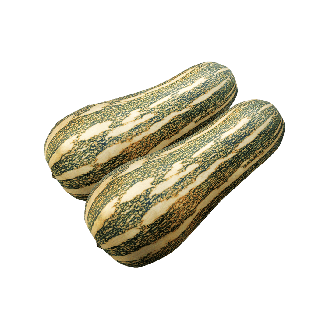 abobora-mini-paulista