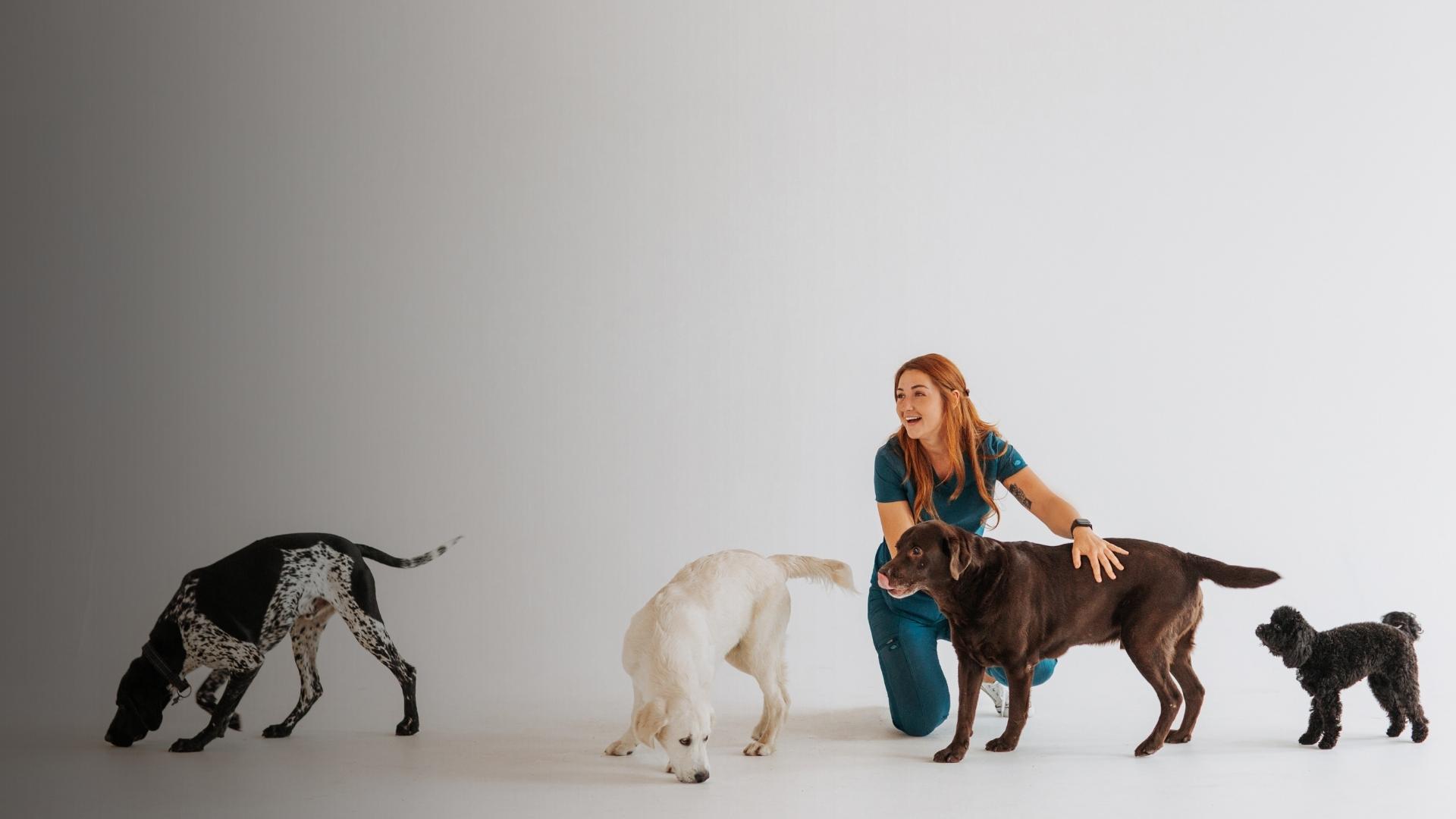 Veterinārārsta apmeklējums Rīgā – aprūpe bez stresa