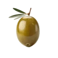 καρπός ελιάς