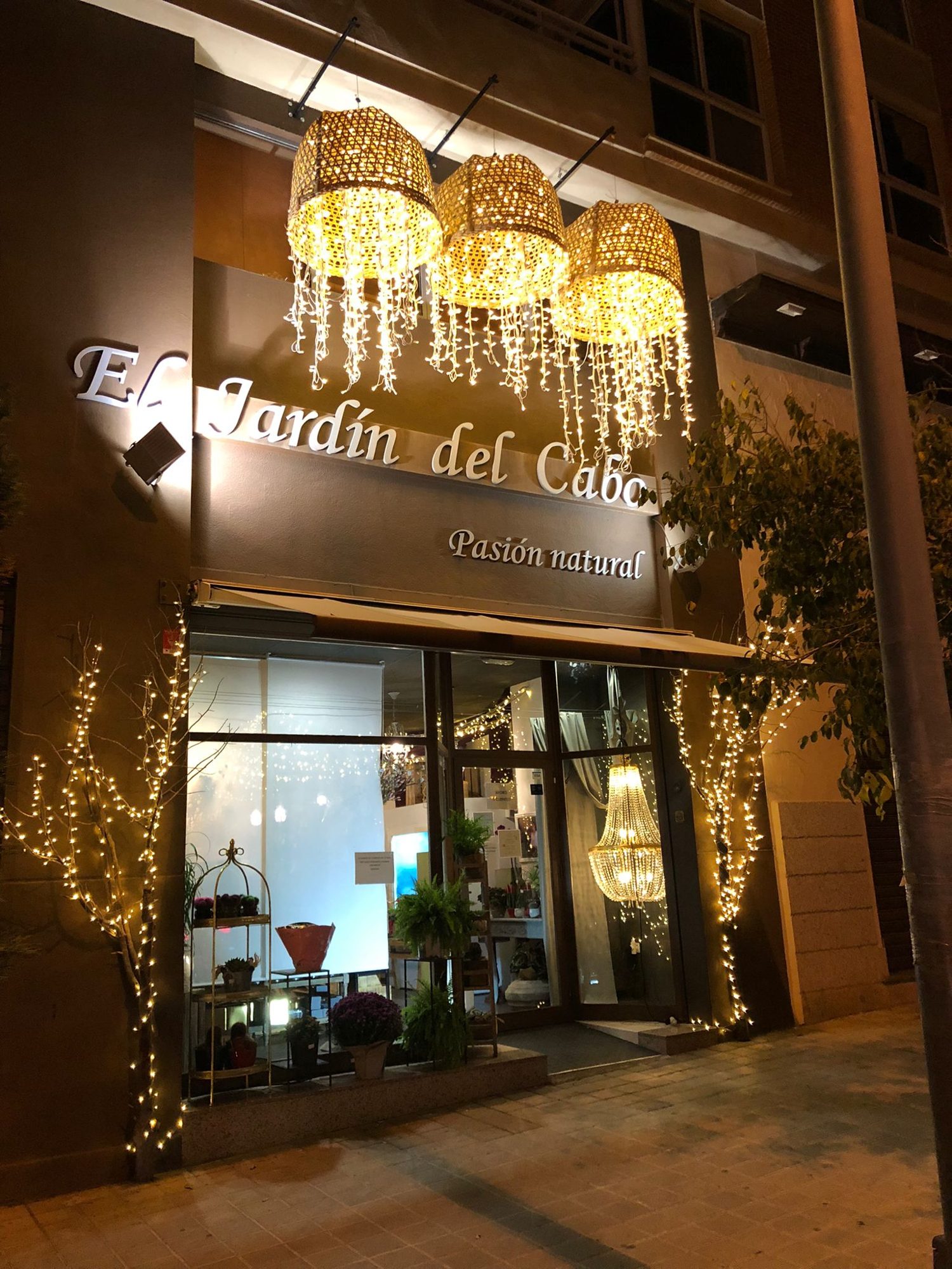 Proyecto 29 · NAVIDAD Y LUZ DECORATIVA · Ledilux
