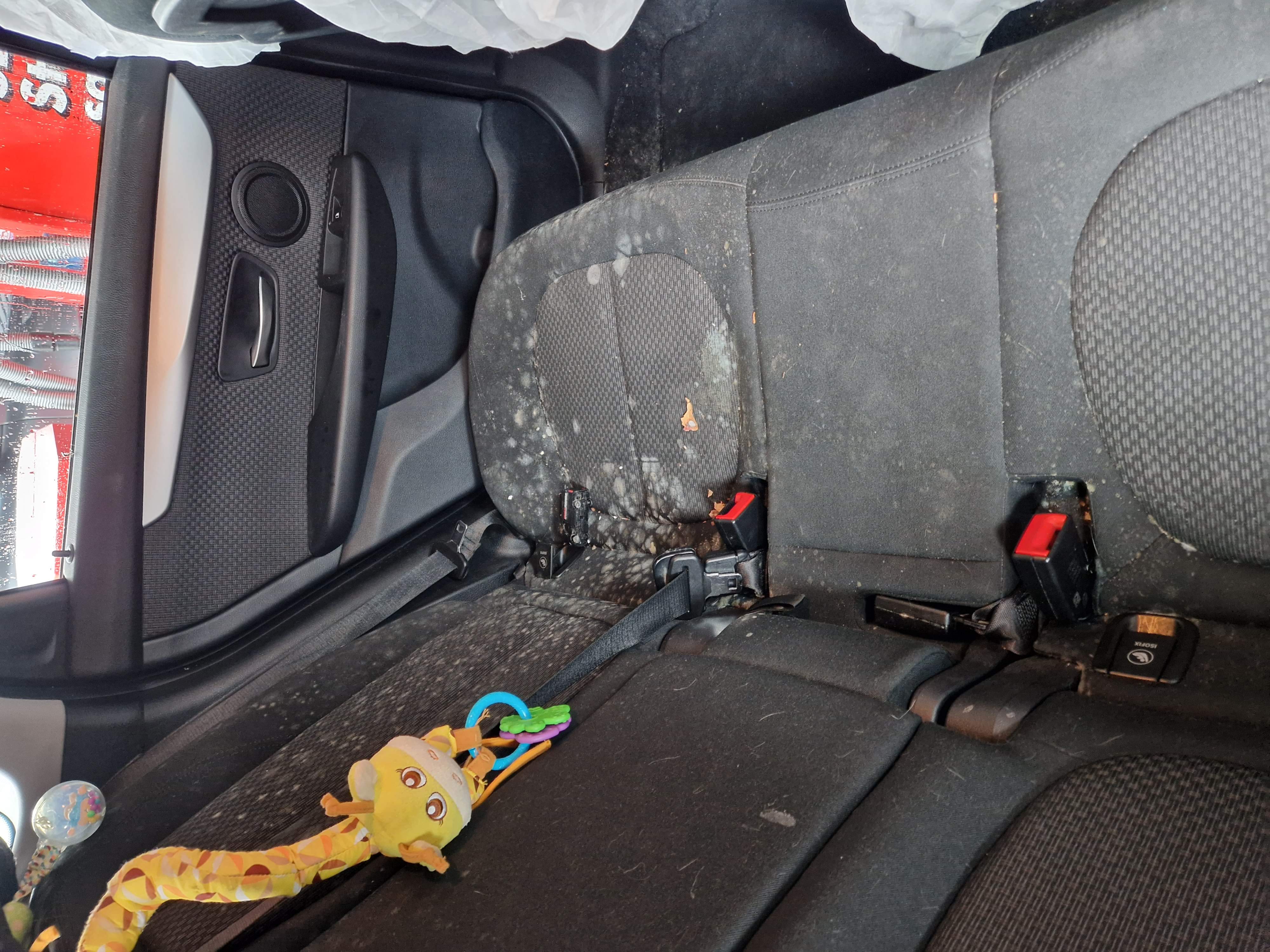 Schimmel im Auto fachgerecht entfernen lassen in Zürich