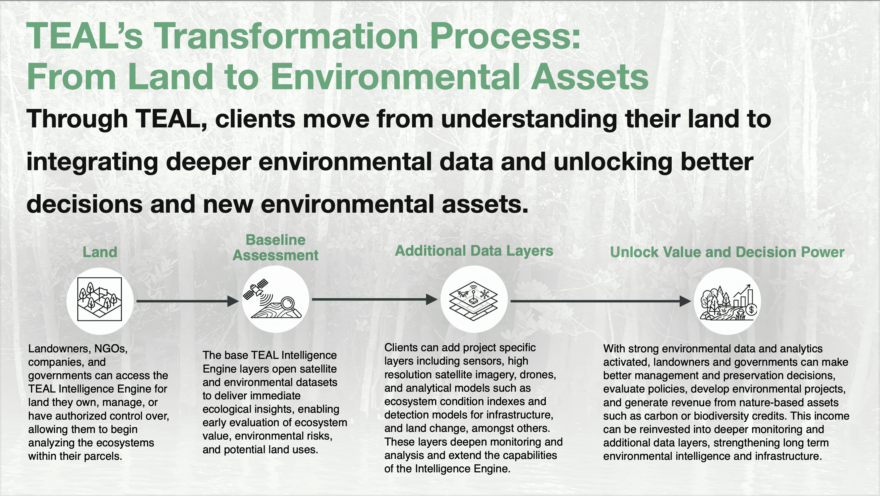 The image featured at the top of the about us page #1