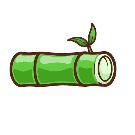 Green bamboo stalk with small leaves